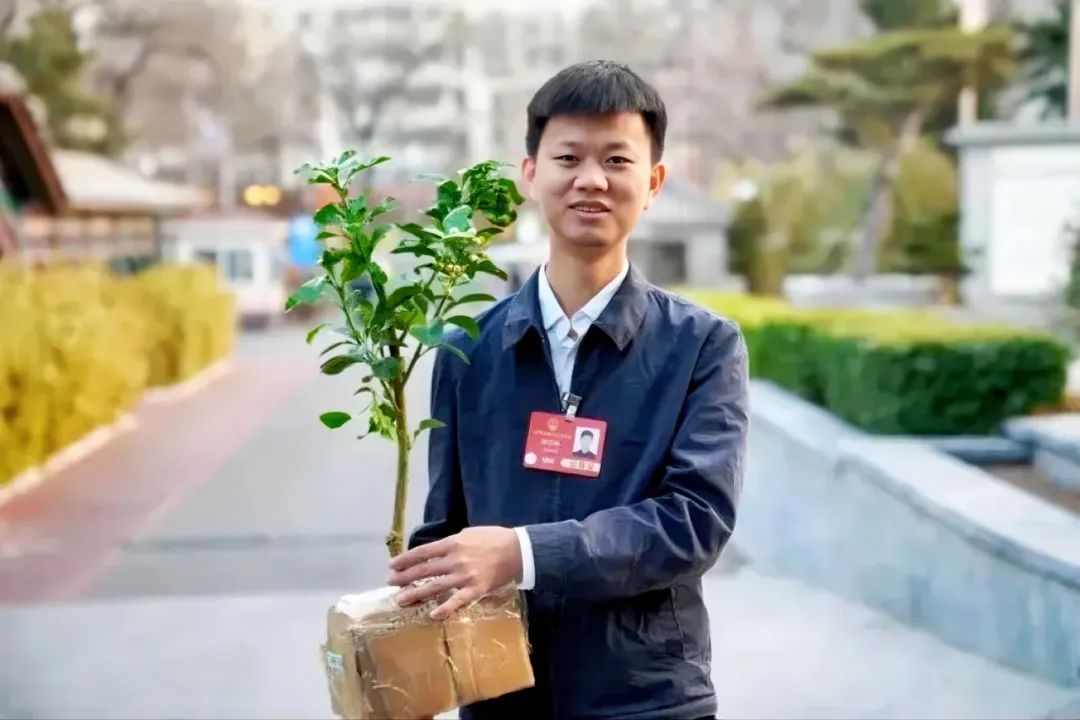 详1